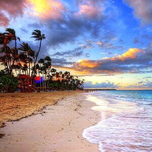 Meet your Posher, LeRea